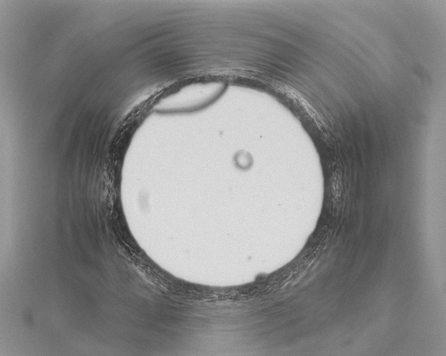 X0000114141064200911191138