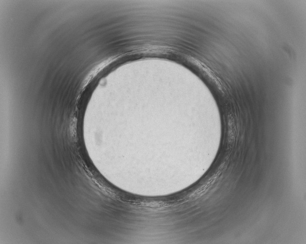 X0000114141066200911191138