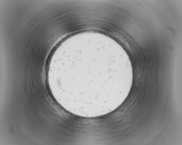 X0000114141076200911191138