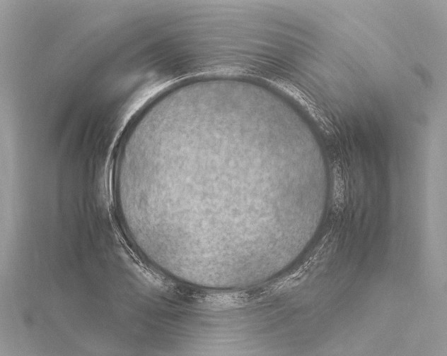 X0000114141078200911191138