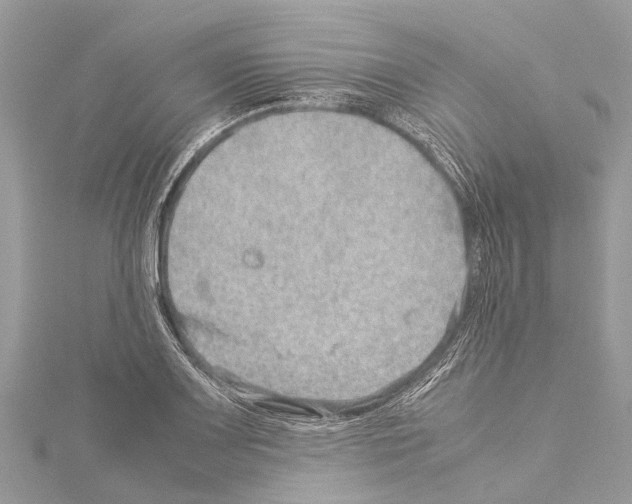 X0000114141083200911191138