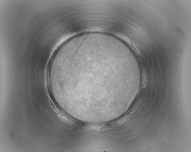 X0000114141086200911191138