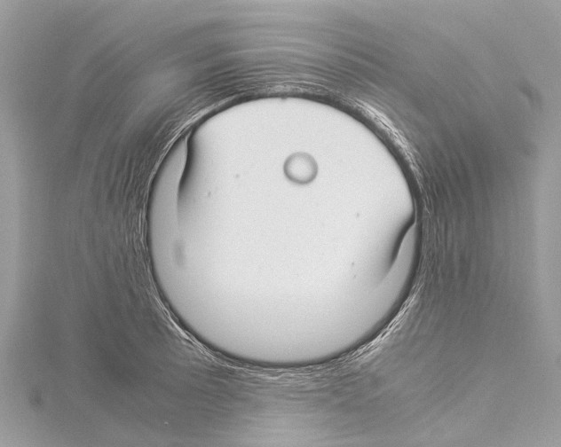 X0000114141089200911191138