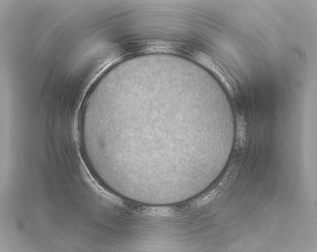 X0000114141090200911191138