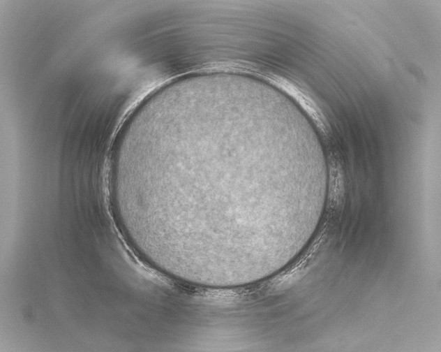 X0000114141094200911191138