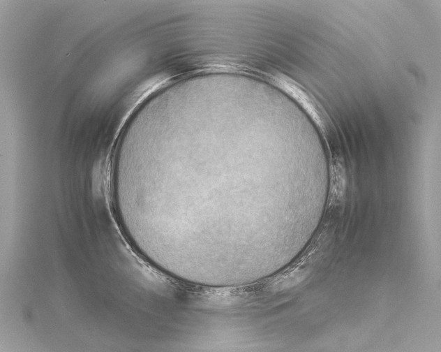 X0000114141098200911191138