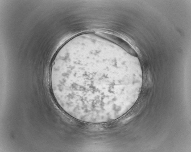 X0000114141101200911191138