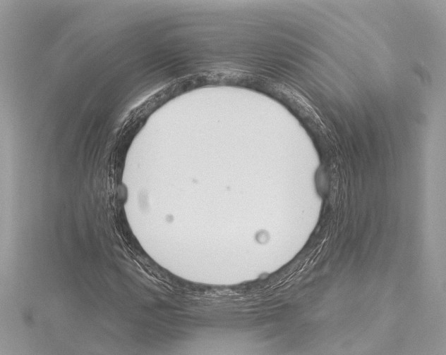 X0000114141112200911191137