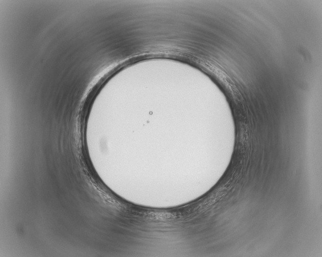 X0000114141120200911191137