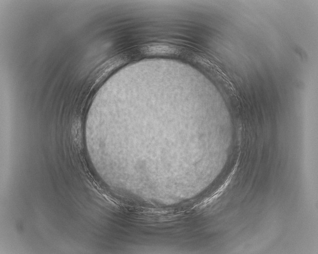 X0000114141121200911191137