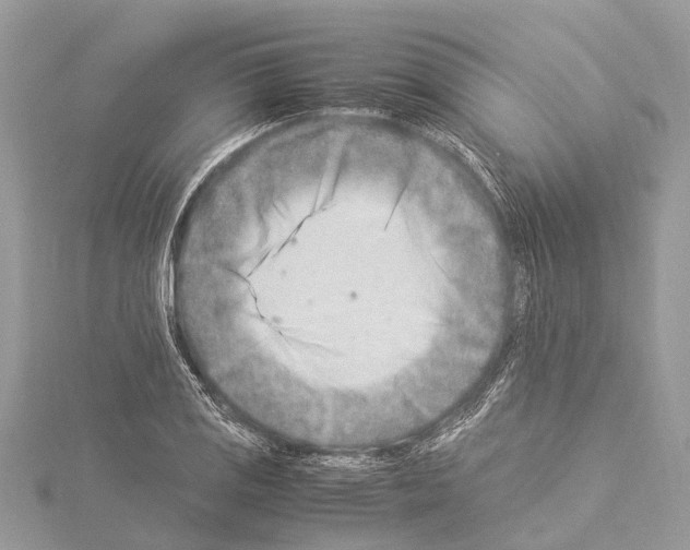 X0000114141125200911191137