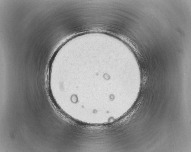 X0000114141126200911191137