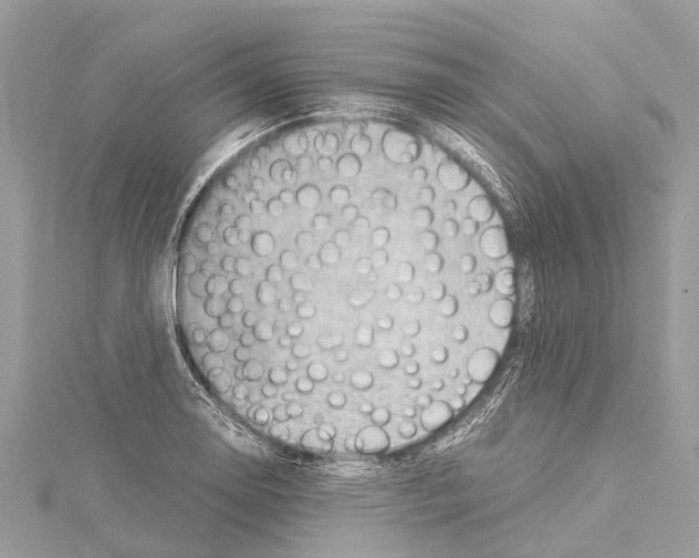 X0000114141130200911191138