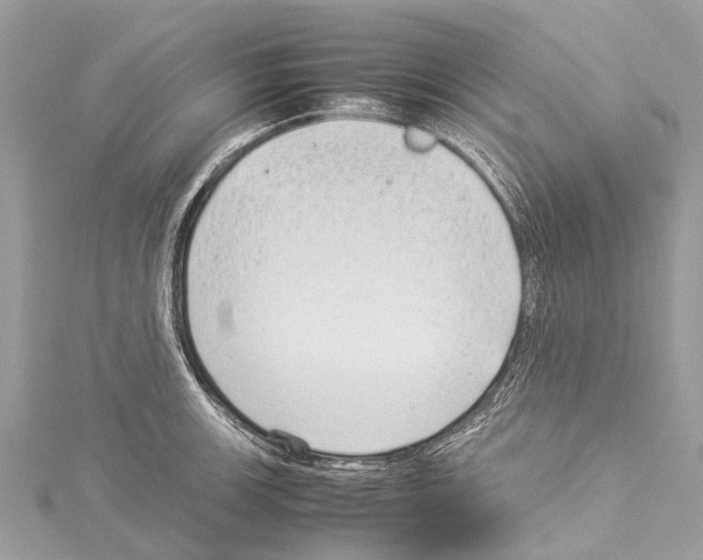 X0000114141139200911191138