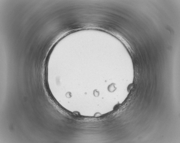 X0000114141142200911191138