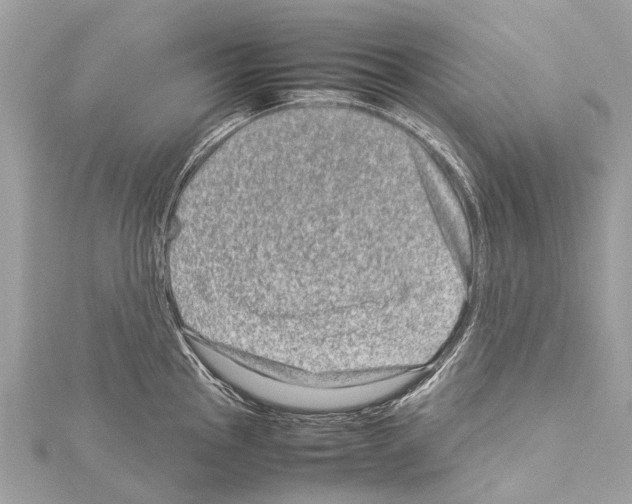 X0000114141145200911191138