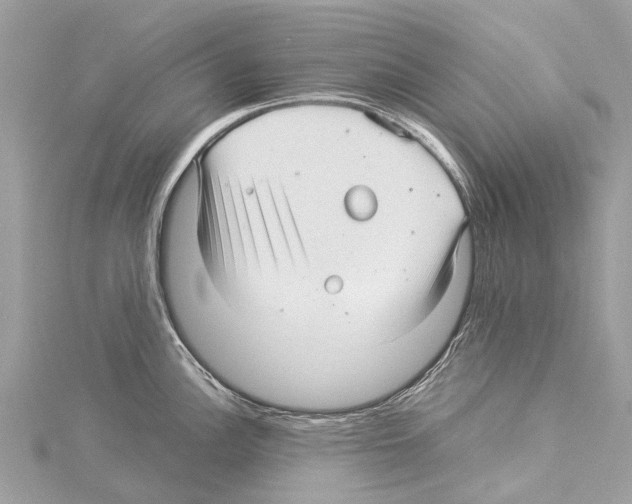 X0000114141148200911191138