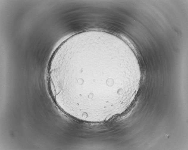 X0000114141149200911191138