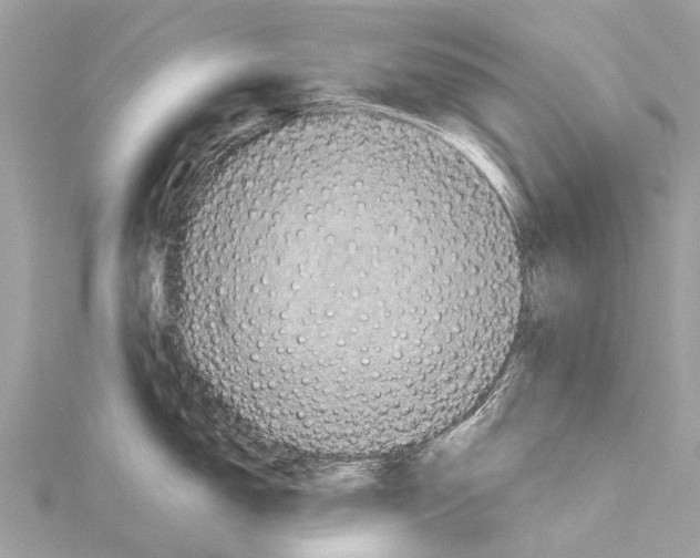 X0000114141150200911191138