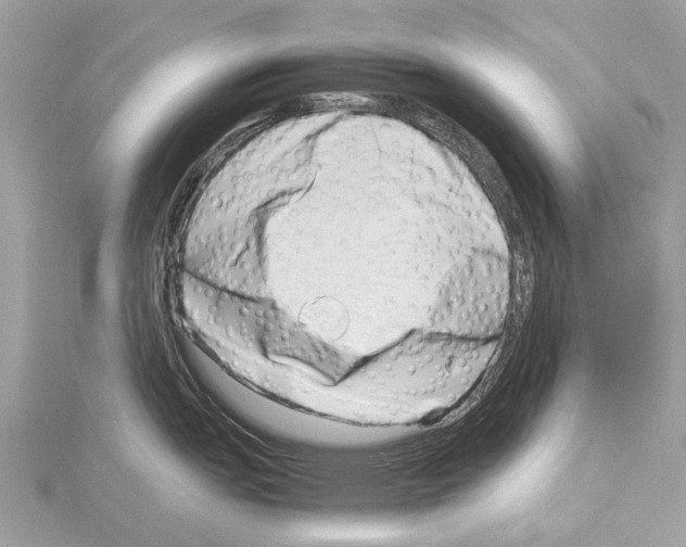 X0000114141151200911191138