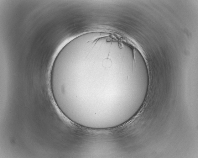 X0000114141152200911191138