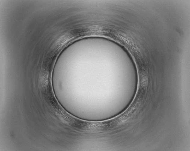 X0000114141161200911191137