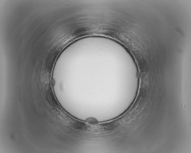 X0000114141169200911191137