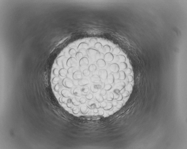 X0000114141205200911191136