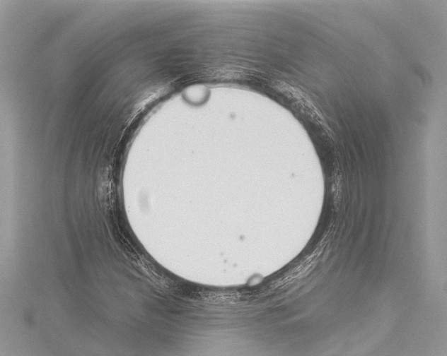 X0000114141210200911191136