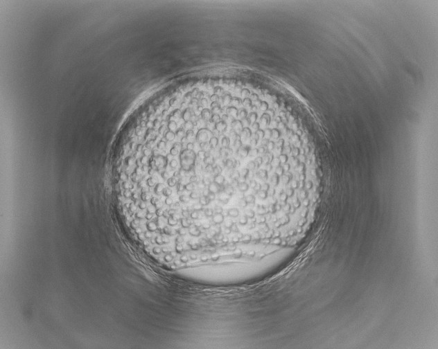 X0000114141216200911191136