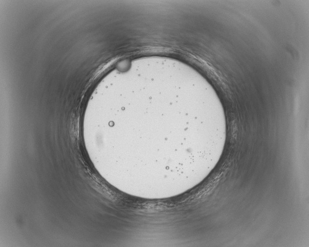 X0000114141220200911191136