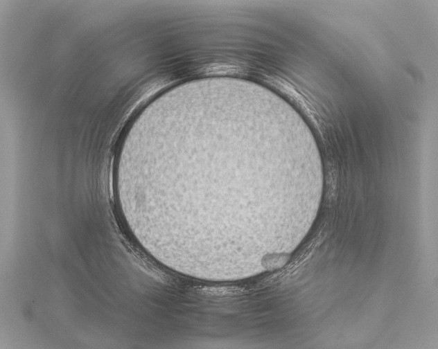 X0000114141227200911191136