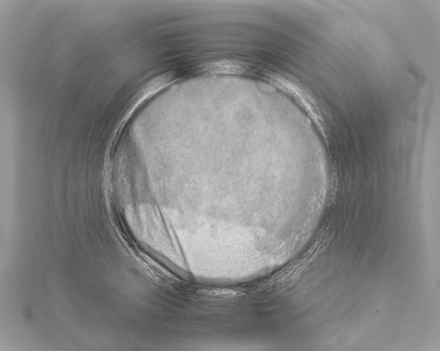 X0000114141235200911191136