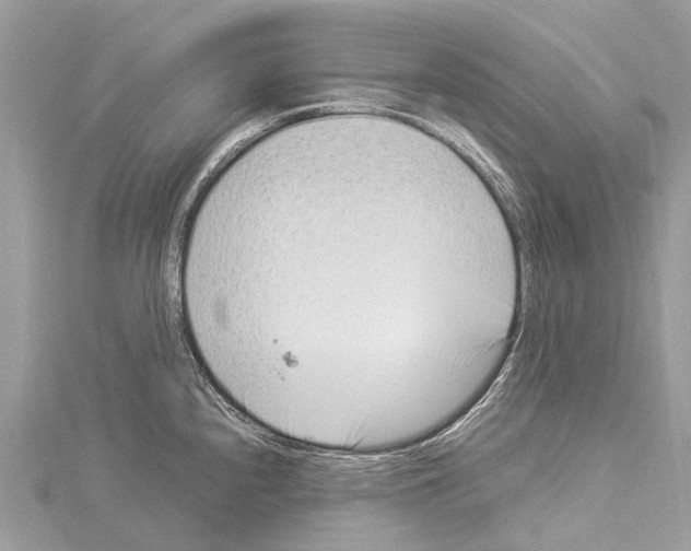 X0000114141240200911191136