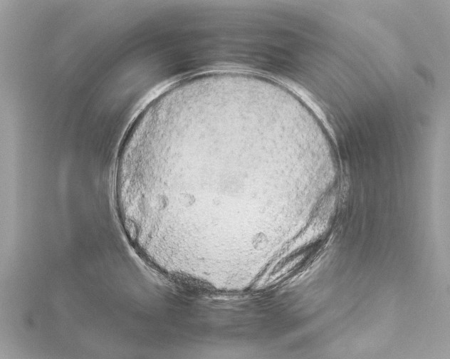 X0000114141245200911191136