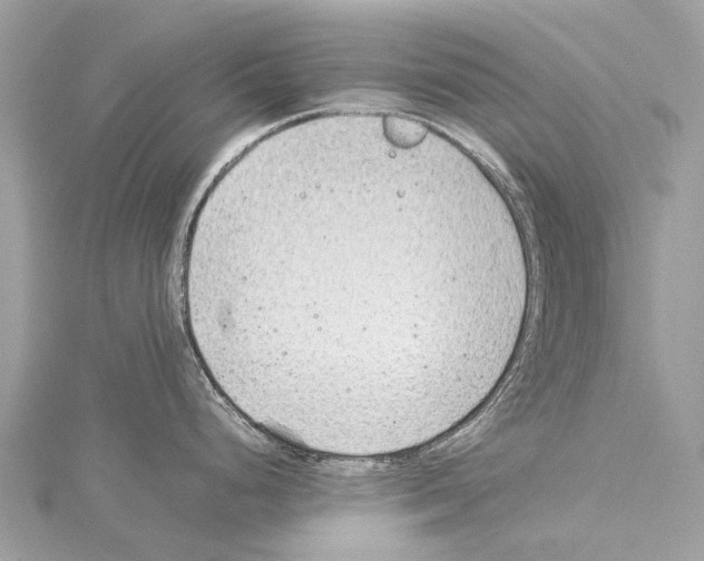 X0000114141248200911191136