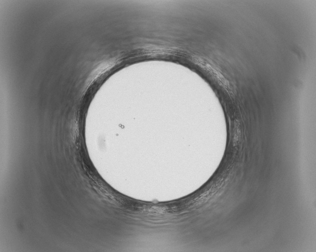 X0000114141261200911191136