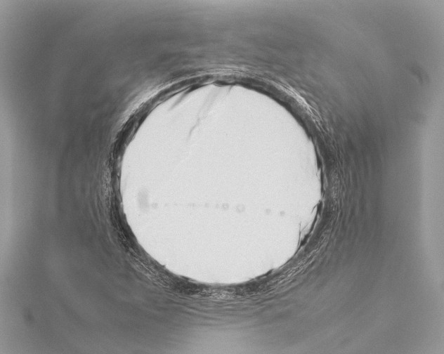 X0000114141263200911191135