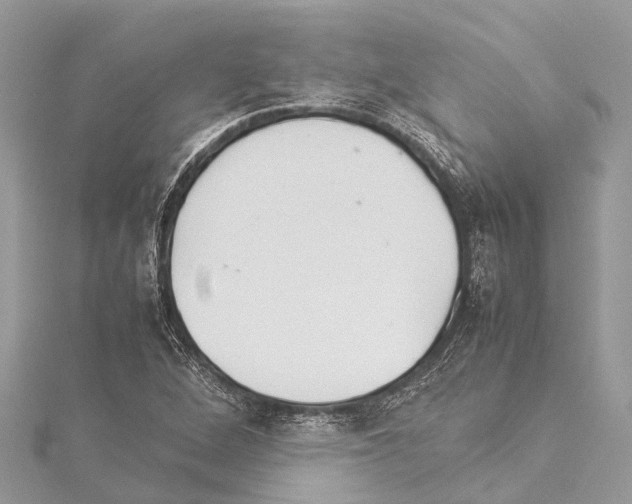 X0000114141264200911191135