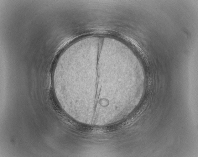 X0000114141267200911191135