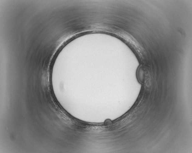 X0000114141280200911191135