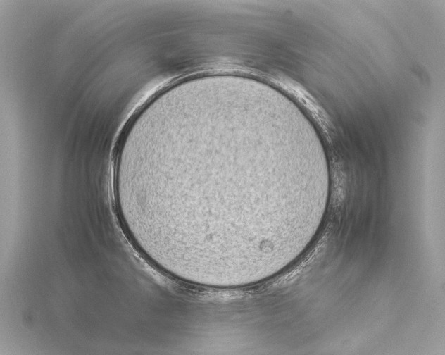 X0000114141286200911191135