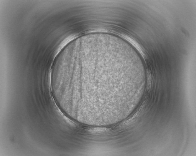 X0000114141290200911191135