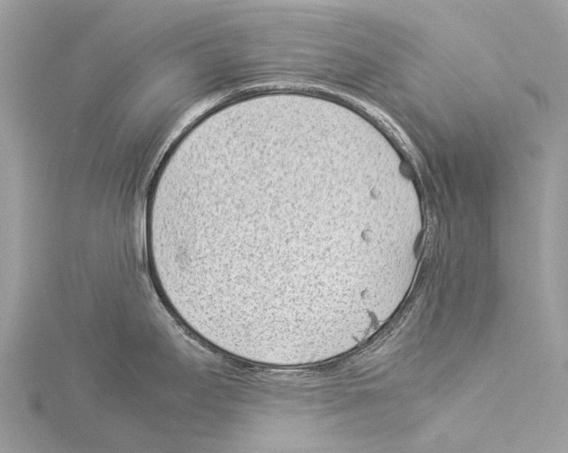 X0000114141295200911191135