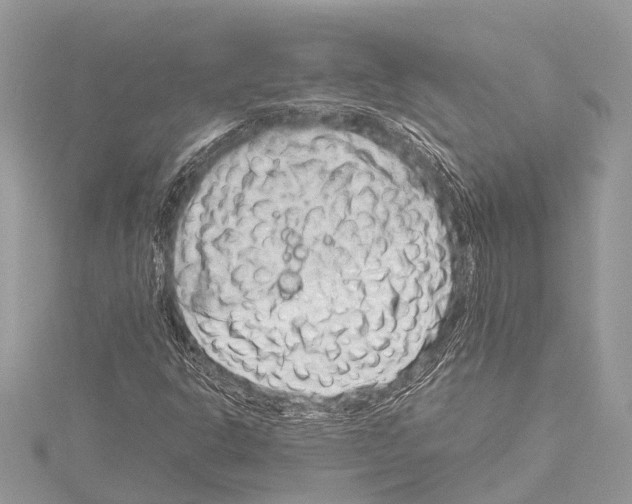 X0000114141302200911191135