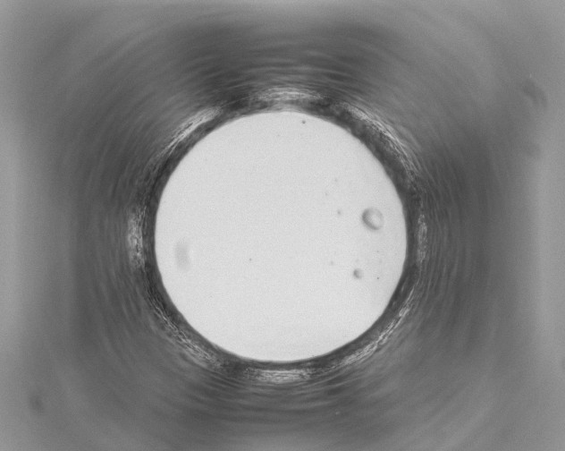 X0000114141305200911191135