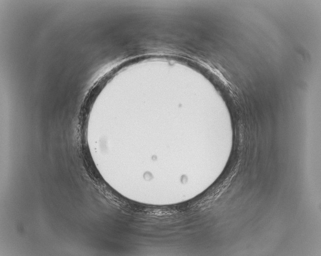 X0000114141311200911191135