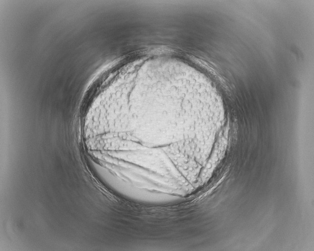 X0000114141317200911191135