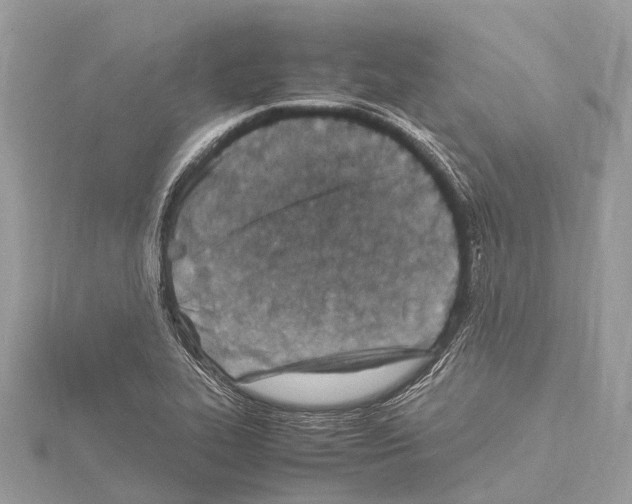 X0000114141319200911191135