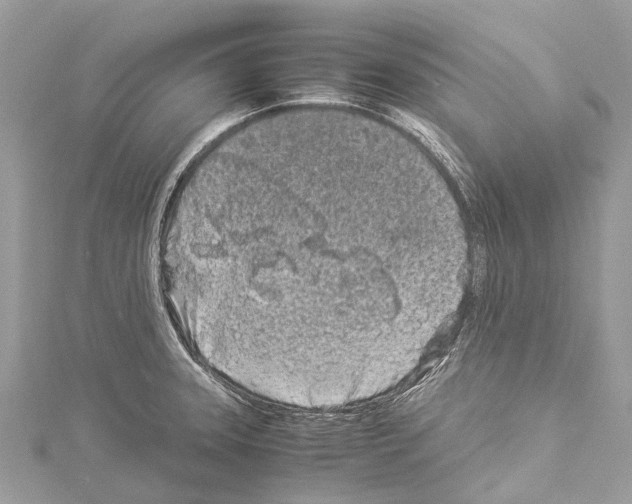 X0000114141331200911191135